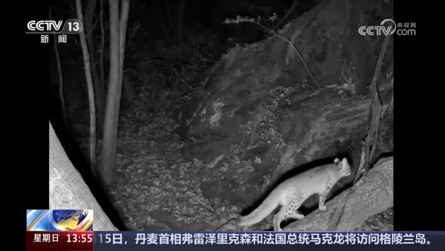 管家婆资料精准一句真言,中国软实力排名升至全球第2,收益成语分析落实_极速版V14.93